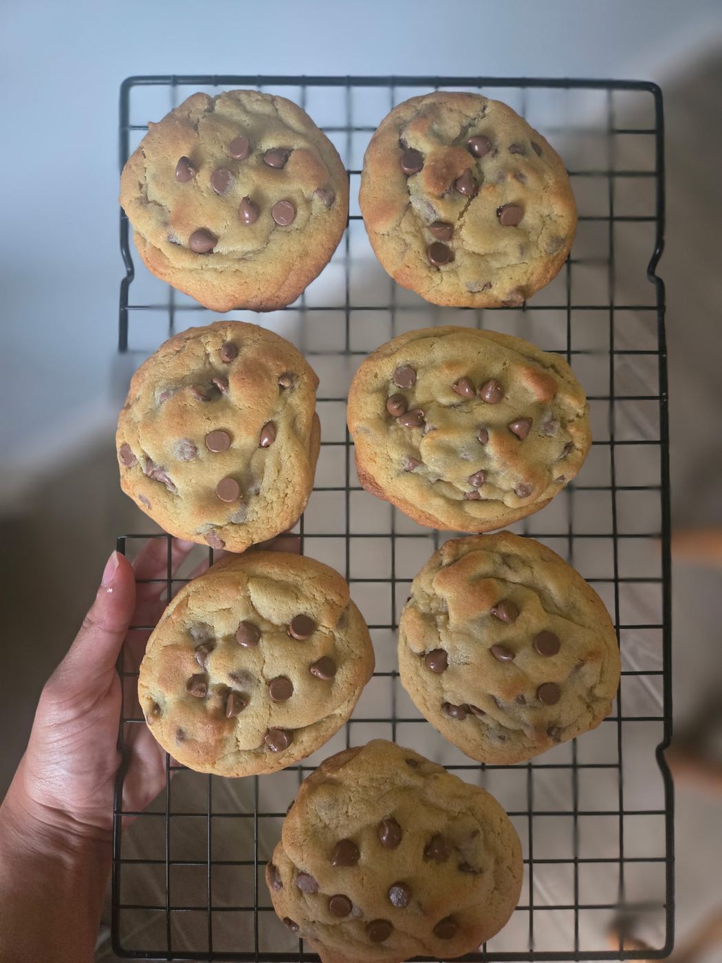 Thick bakery-style chocolate chip cookies cooling on a wire rack
